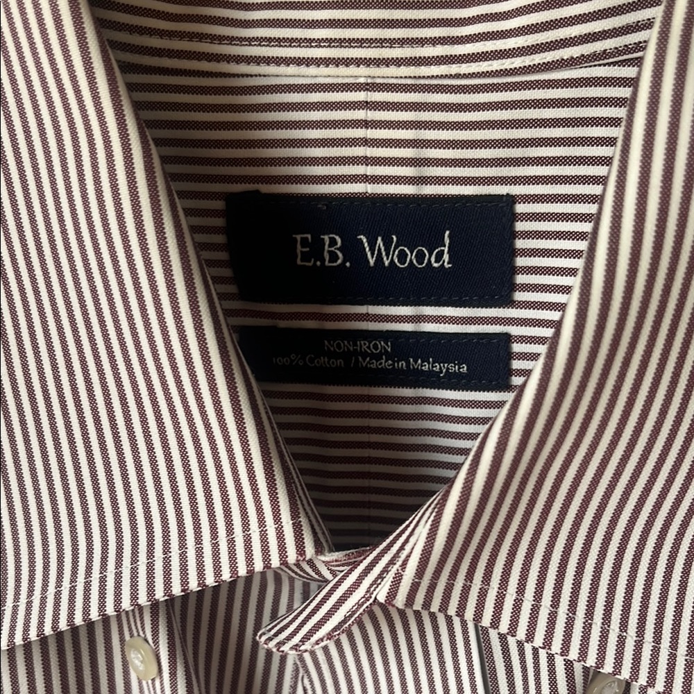 E.B. Wood Brown and White Casual Button Down Shirt with Stripes
